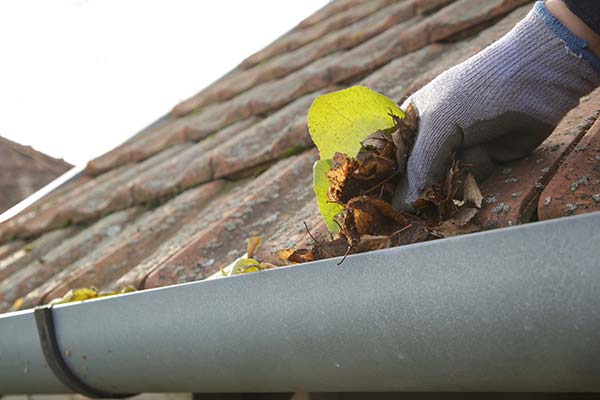 Port City Gutter Company | Professional Gutter Solutions | Charleston, SC